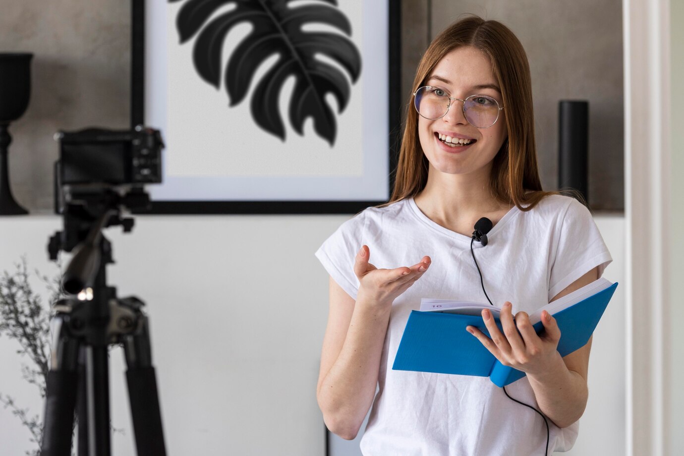 Contabilidade para Influenciadores Digitais: Qual é o CNAE Ideal para MEI? - Meu Contador Online