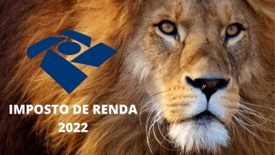 IRPF 2022 – Tenho uma empresa, estou obrigado a realizar a entrega? - Meu Contador Online